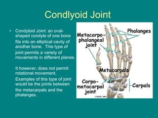 Joints powerpoint