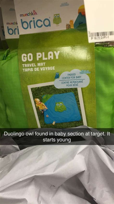 Pin by Bailey shimmin on Duolingo memes | Duolingo, Munchkin, Brica