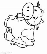Preschool Cow Coloring Pages sketch template
