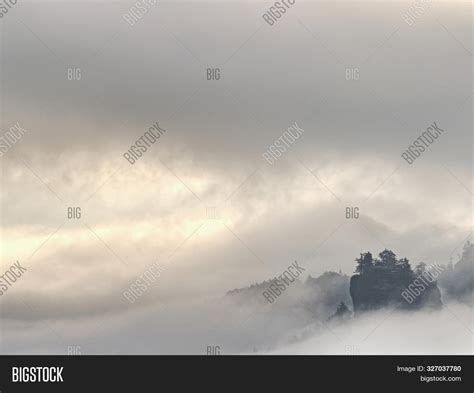 Forest. Green Mountain Image & Photo (Free Trial) | Bigstock