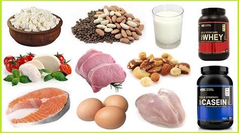 Four Protein Types That You Should Have