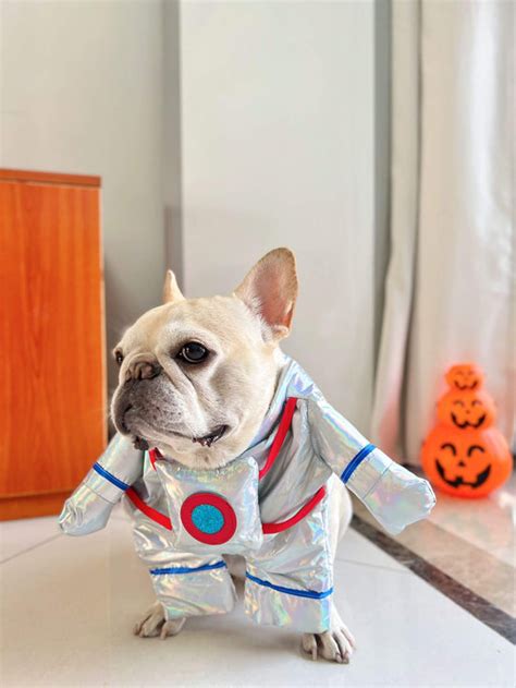 dog halloween costume astronaut – Frenchiely