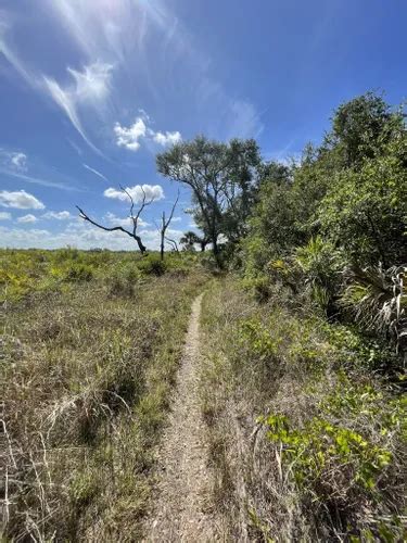 10 Best Hikes and Trails in Myakka River State Park | AllTrails