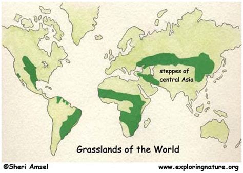 The Steppes of Central Asia