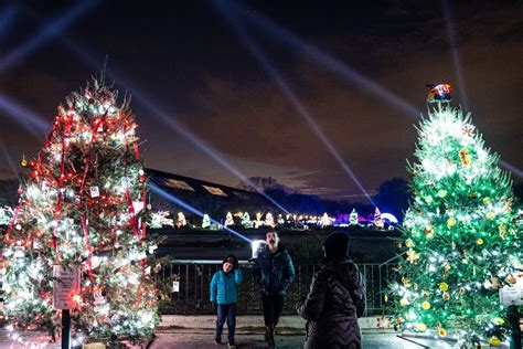 Brookfield Zoo Kicks Off Holiday Magic - Village Free Press