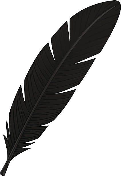 7,546 Eagle Feather Illustrations & Clip Art - iStock | Feather ...