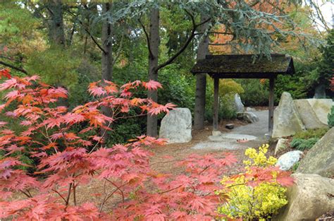 A Garden for the People: More than Just Fall Colors at Kubota Garden ...