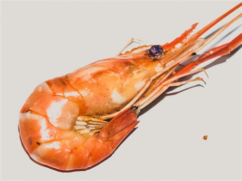 Fresh Cooked Shrimp Background Seafood Free Stock Photo - Public Domain ...