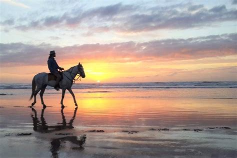 Horse riding at sunset for 2 hours - Essaouira