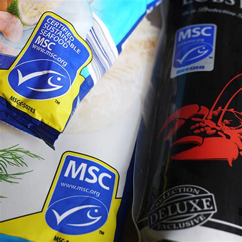 What is sustainable fishing | Marine Stewardship Council