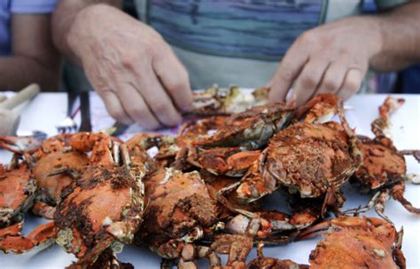 These Tasty Edible Crabs are Delighting Diners Everywhere! - Costas Inn