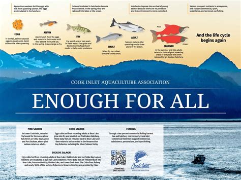 CIAA provides schools salmon life cycle posters