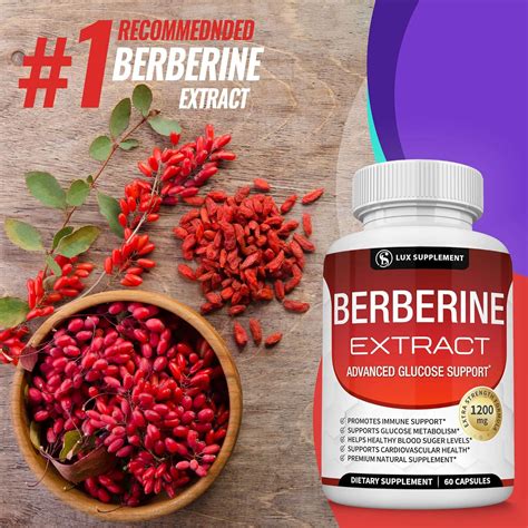 Berberine Extract 1200 mg HCl Complex - Premium Strength Berberine Plus to Support Immune ...