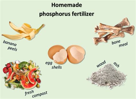 Homemade Phosphorus Fertilizer: Quick DIY Guide