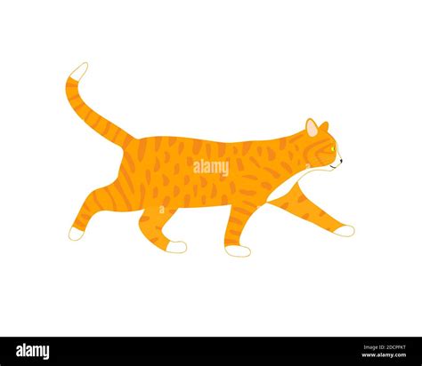 Walking ginger cat isolated on white backround. Cute cartoon cat profile. Vector illustration ...