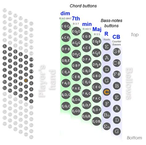 48 Bass Accordion Chart - 8x6 - Diagram, Bass Notes, Chords