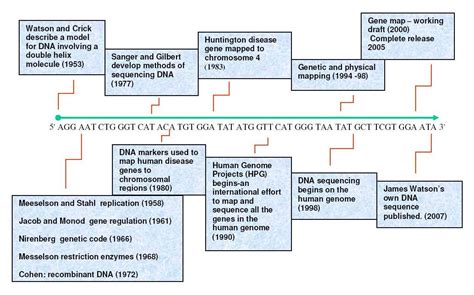 Six Steps to DNA Activation – Shifting Vibration