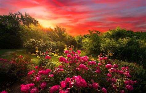 Garden Sunset Wallpapers - Top Free Garden Sunset Backgrounds ...