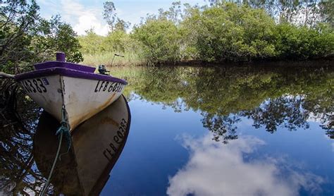 Myall Lakes National Park | Learn more | NSW National Parks