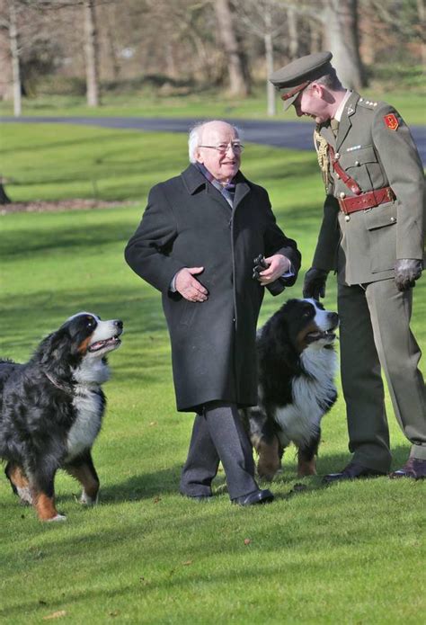 18 Photos Of The Irish President & His Doggos, Who Are By His Side Even ...