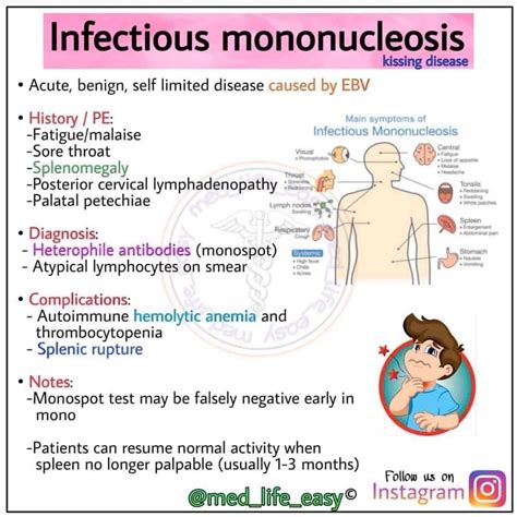 Infectious mononucleosis - MEDizzy