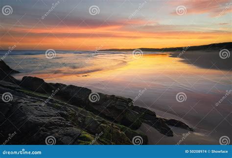 Lighthouse Beach Seal Rocks Stock Photo - Image of sugarloaf, ocean ...