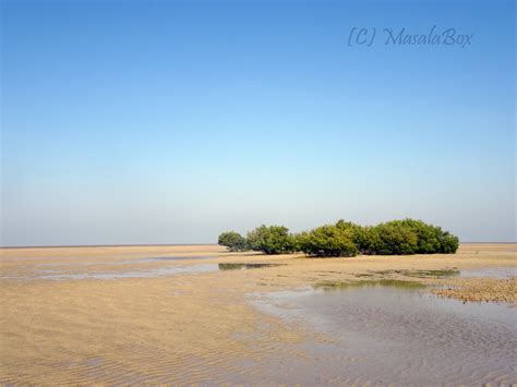 Narara Marine National Park Jamnagar