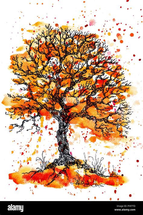 Cute colorful watercolor and ink orange tree illustration with splashes. Hand drawn painting ...