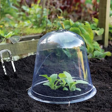 Bell Cloche Garden Protection for Young Plants Sturdy Weatherproof Plastic Design Protects ...