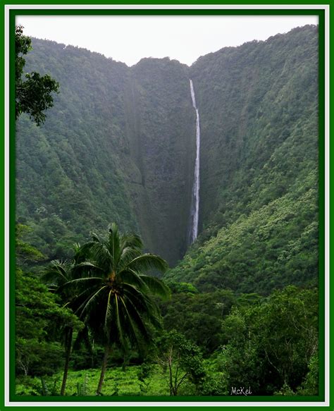 one of the waterfalls in Waipio Valley | Beautiful places, Scenery, Waipio