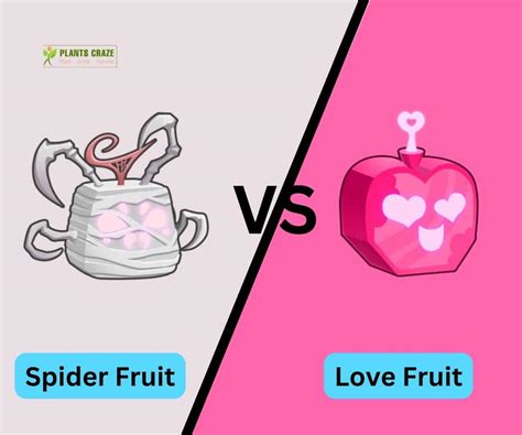 Spider Vs Love In Blox Fruits: Which Should You Take?