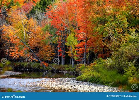 Autumn Trees by the River in Vermont Stock Image - Image of colors, blue: 127423067