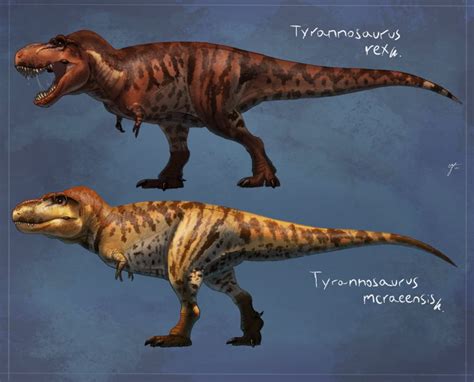 6 Fakta Tyrannosaurus Mcraeensis, Spesies Dinosaurus Baru di