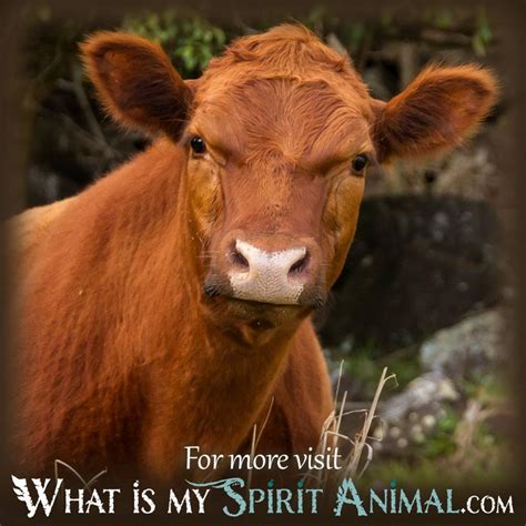 Uncover the Prophetic Meaning of Cows in Your Dreams