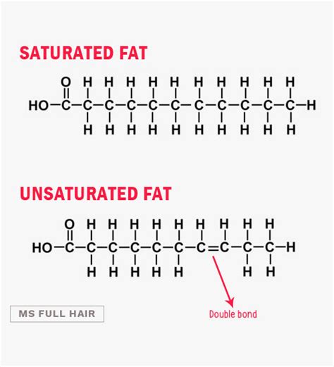 The Ultimate Guide: Fatty Acids for Hair Growth