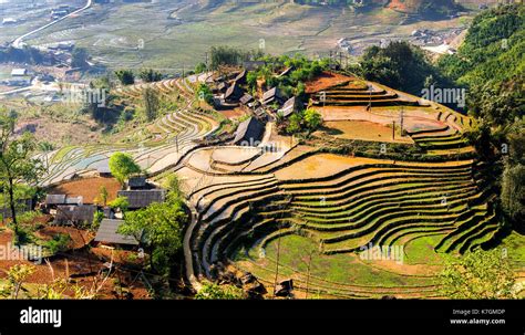 Sapa rice terrace, Vietnam Stock Photo - Alamy