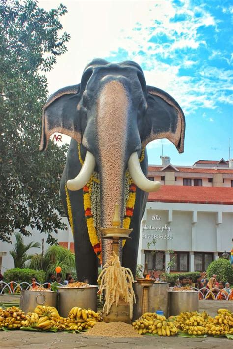 Guruvayur Kesavan - Ardent elephant devotee - Learning Thursdays