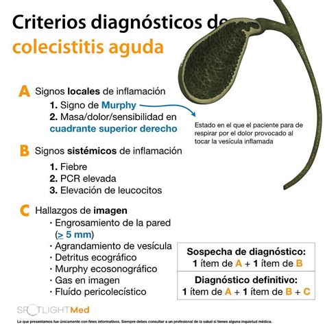 Medical Mnemonics, Medicine Studies, Med Student, Med School, Medical ...