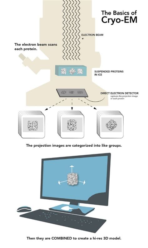 SLAC, Stanford open facility for cryogenic electron microscopy | News Center | Stanford Medicine