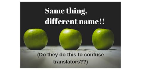 Same Thing, Different Name | Léxico Jurídico Español-Inglés