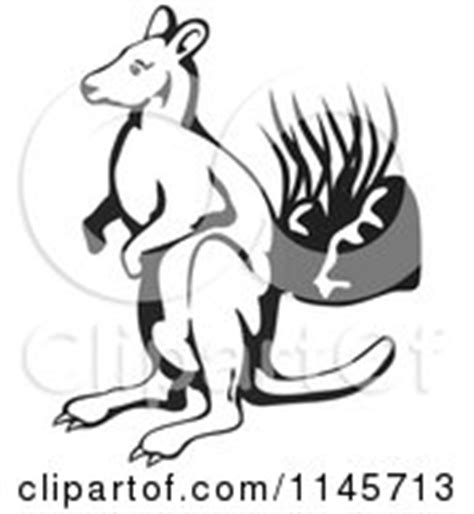 Royalty-Free (RF) Wallaby Clipart, Illustrations, Vector Graphics #1