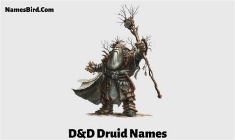 1600+ Druid Names [2024]