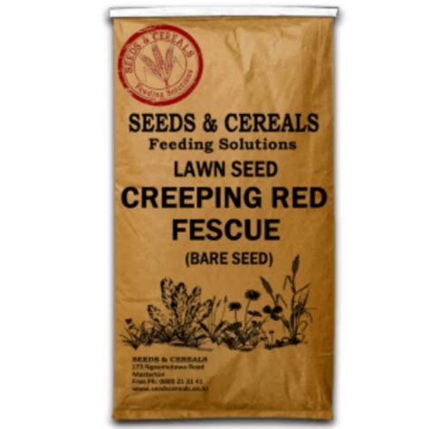 CREEPING RED FESCUE – Seeds and Cereals