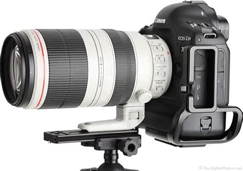 Canon 100-400 II Review: Pros, Cons, & Top Features