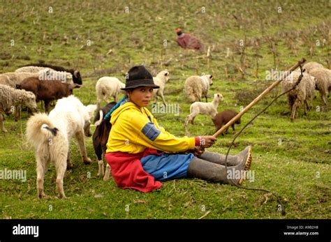 Woman sheep herder hi-res stock photography and images - Alamy