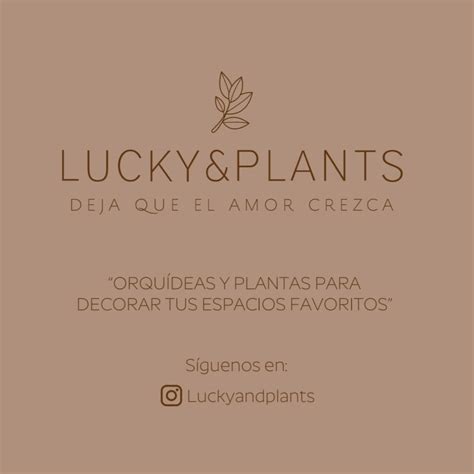 Lucky & Plants
