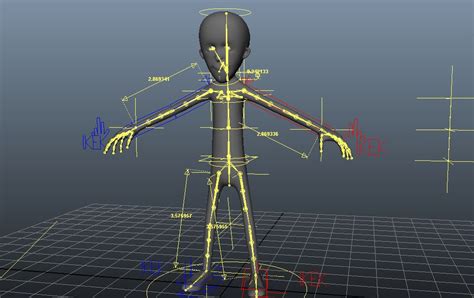 Learning about Animation: 3D Rigging