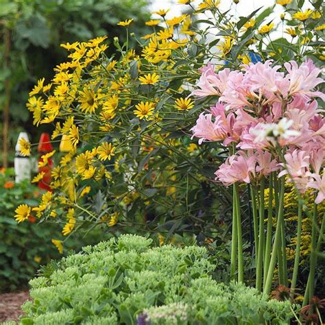 Spring Summer Flowers For Shade - Light Up Shady Spots With Flowering Plants | Shade garden ...