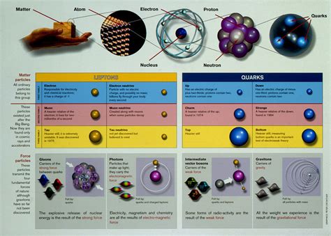 Quarks And Leptons