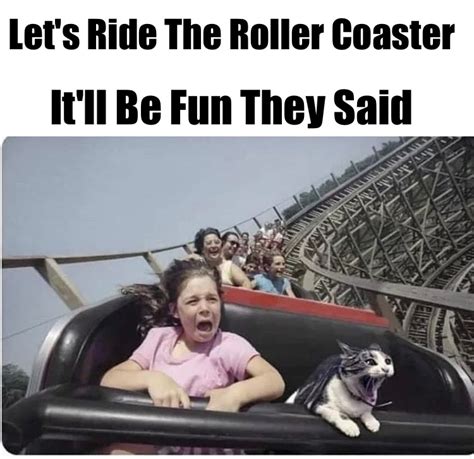 cat on roller coaster meme - Chameleon Memes